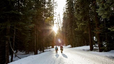 4 Easy Trails For First-Time Snow Hikers - Backpacker