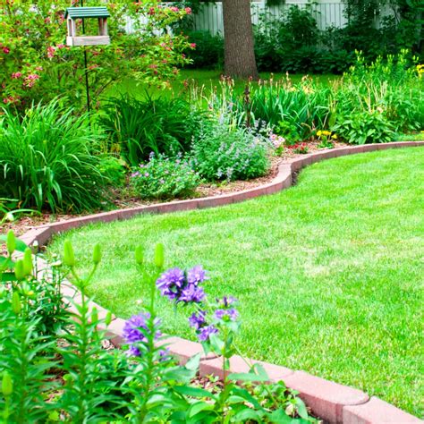 15+ Backyard Landscaping Ideas on a Budget That You NEED to Know ...