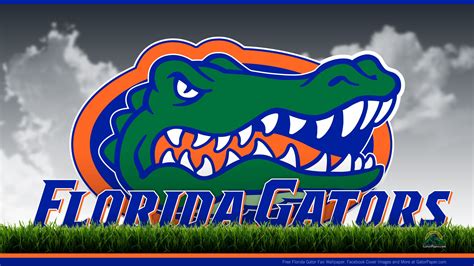 Florida gators, Florida gators wallpaper, Florida gators football