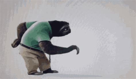 Sloths Walking GIFs | Tenor