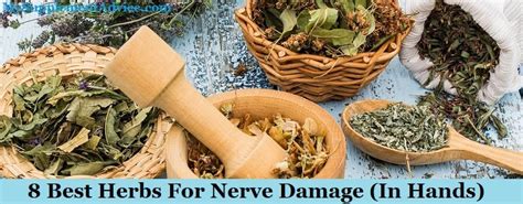 8 Best Herbs For Nerve Damage (In Hands) - Supplementox