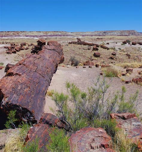 Petrified Forest National Park Guide - The Wandering Homemaker