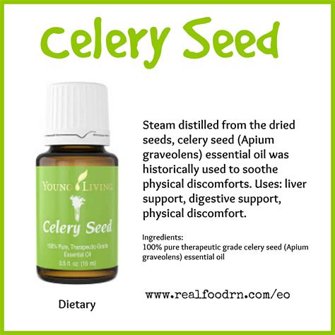 Celery Seed Essential Oil - Real Food RN