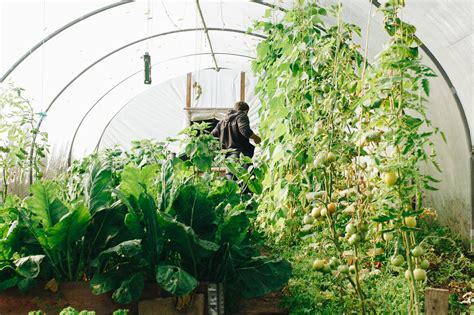 How to Pick a Greenhouse Shade Cloth