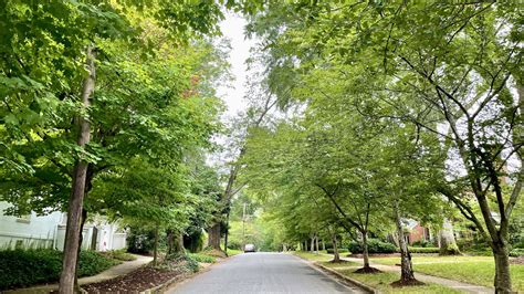 Neighborhood Guide: Alta Vista neighborhood in Greenville, SC - GVLtoday