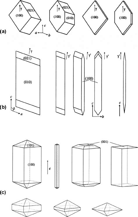 Diagrams of different crystal shapes of calcium oxalate monohydrate ...