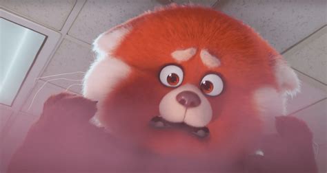 Pixar's Turning Red: Panda Trailer, Release Date, Diabetes Character, More