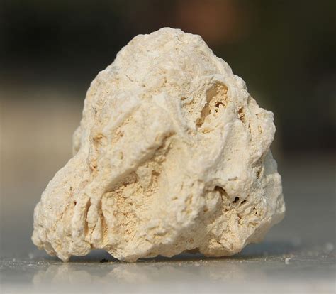 Fossiliferous limestone - Wikipedia