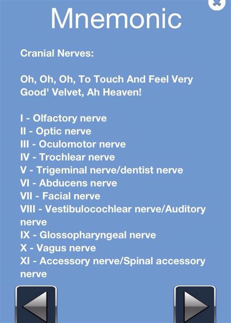 Cranial Nerves | Cranial nerves mnemonic, Cranial nerves, Nursing mnemonics