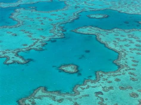 Aerial View of Heart Reef, Great Barrier Reef - Australia