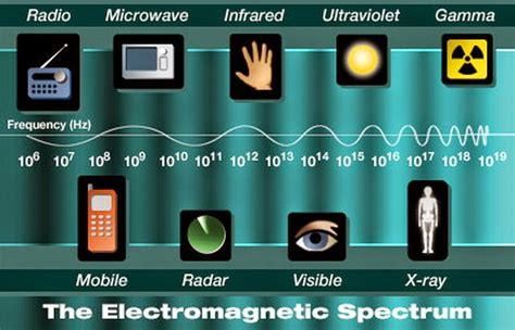 Science online: Examples and some technological applications of ...