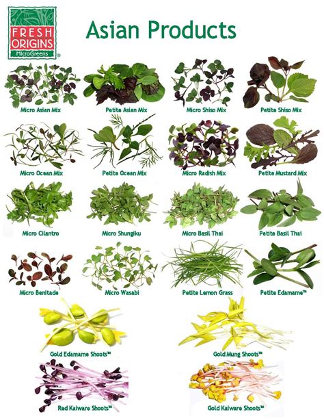 Microgreens Garden: Grow Your Own Asian Products