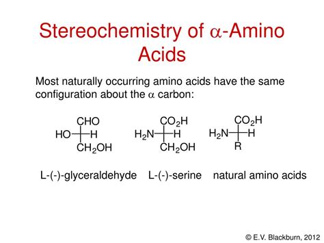 PPT - Amino Acids and Proteins PowerPoint Presentation, free download ...