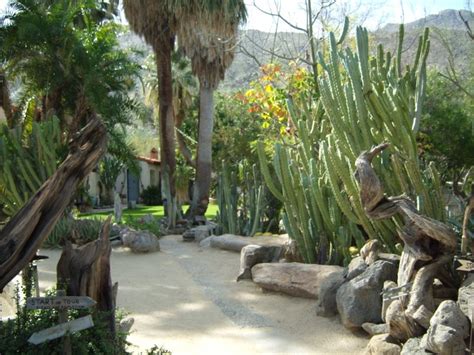 palm springs ca botanical gardens - Good Here Diary Fonction