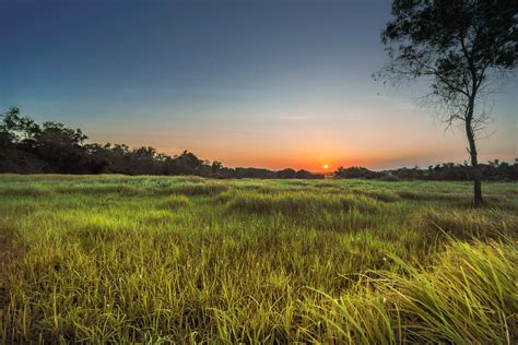 Landscape Photography Of Green Grass Field During Golden Hour · Free ...