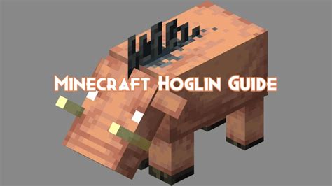 Minecraft Hoglin Guide, Attacks and Drops - Pillar Of Gaming