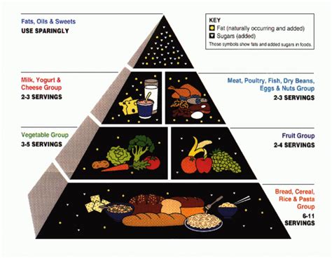 Food pyramid (nutrition) - Wikipedia