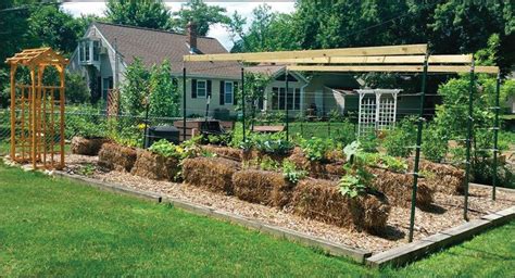 Solve Your Soil Issues with Straw-Bale Gardening - The Tennessee Magazine