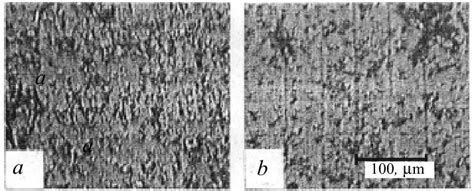 Photomicrograph of initial powdered cellulose: a) dry; b) swollen in ...