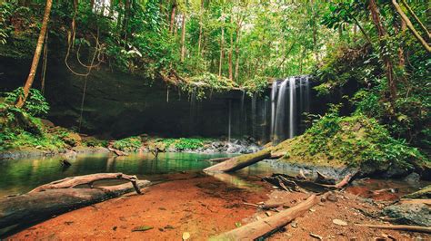 American Airlines Begins New York-Guyana Flights