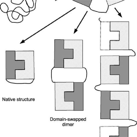 (PDF) Protein Folding