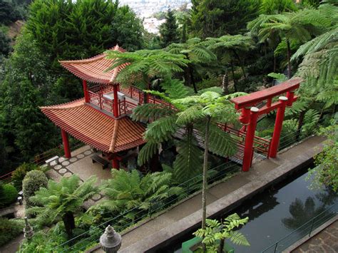 Isn't Chinatown but the oriental garden in Monte Palace | Funchal Daily ...