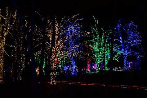 Bubba's Garage: Enjoying Meadowlark Gardens' Winter Walk of Lights