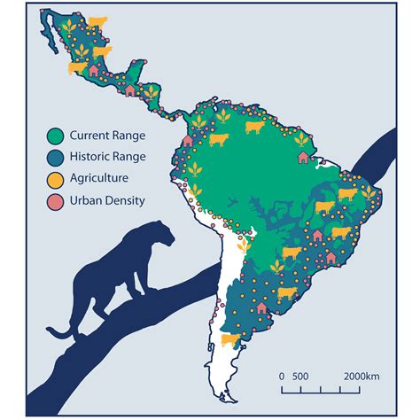 Jaguar Habitat Map