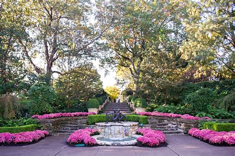 Fall is in Full Swing at the Dallas Arboretum - Sugar and Sap