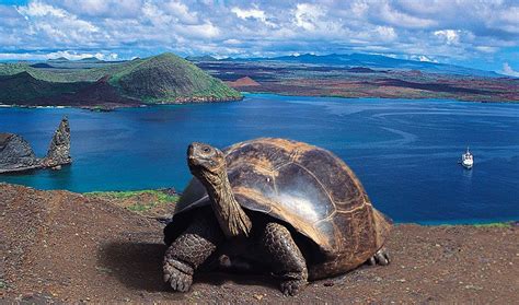 Galapagos Islands Scenery