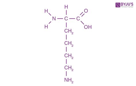 Lysine Structural Formula