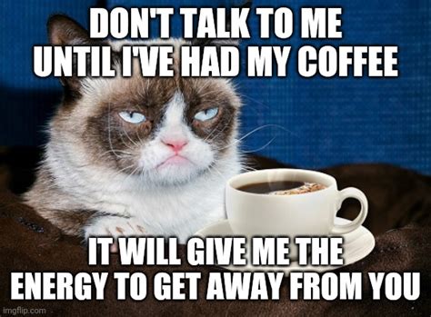 Image tagged in grumpy cat coffee - Imgflip