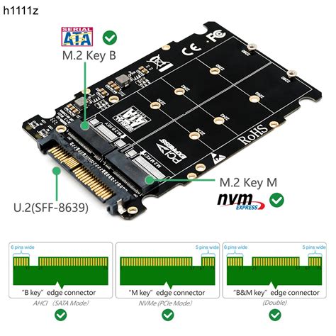 데스크탑 컴퓨터용 PCIe M2 컨버터, M.2 SSD to U.2 어댑터, 2in 1 M.2 NVMe 및 SATA Bus ...