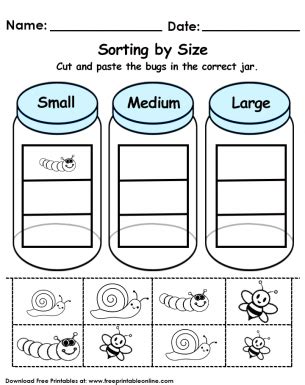 Sorting by Size Worksheet