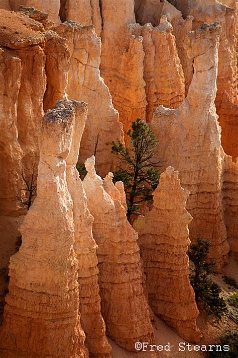 BRYCE CANYON NATIONAL PARK, UTAH, SUNRISE POINT - STEARNS PHOTOGRAPHY ...