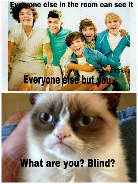 oh my gosh | Funny grumpy cat memes, Grumpy cat, Grumpy cat humor