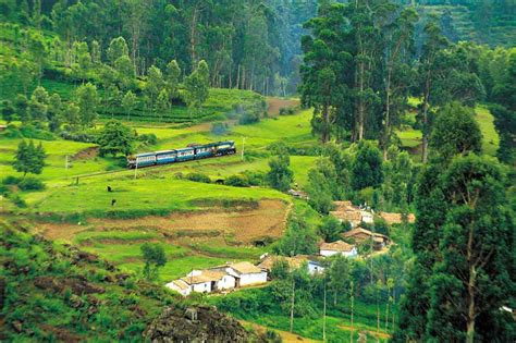 Ooty Hill Station | Things to do in Ooty | Ooty Tourist Spots | Doddabetta