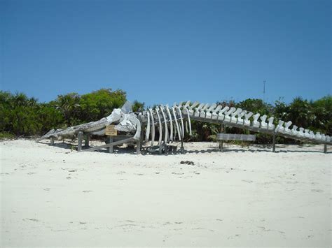 Island Passage: Exuma Cays Land and Sea Park