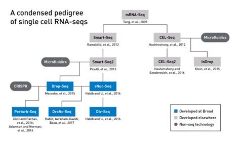 Single-Nucleus RNA-Seq Merges with Microfluidics