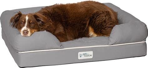 The Best Orthopedic Dog Beds