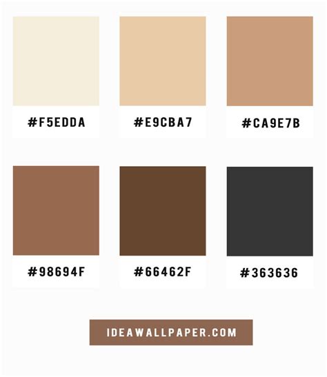 Shades of latte and coffee color scheme, A pretty color palette of coffee