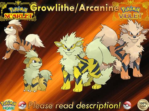 Shiny/non-shiny Growlithe/arcanine 6IV Pokémon - Etsy