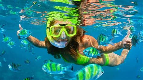 Best snorkeling spots in the Caribbean | Best snorkeling, Snorkeling ...