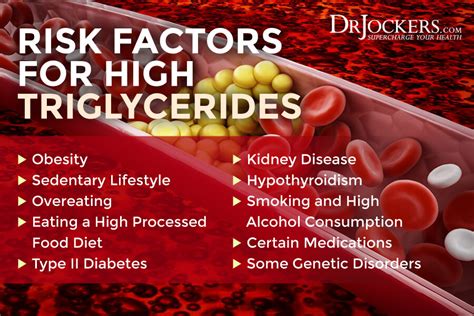 High Triglycerides: Root Causes and Natural Support Strategies