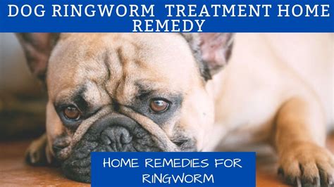 How Can I Treat Ringworm On My Dog At Home