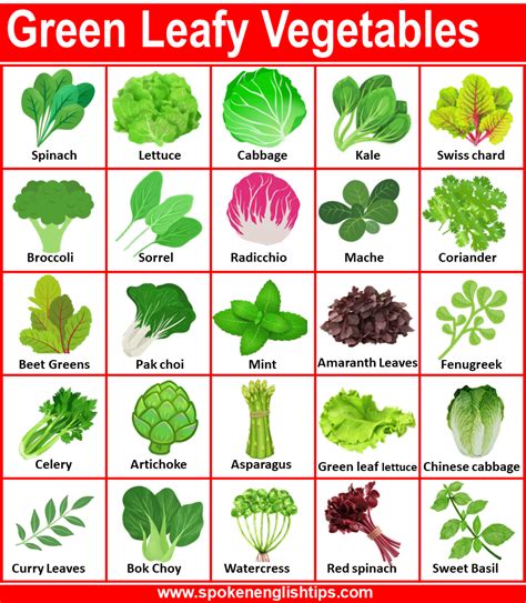 Green Leafy Vegetables Name in English with Pictures