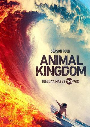 Animal Kingdom Season 5 - tvlinks.cc