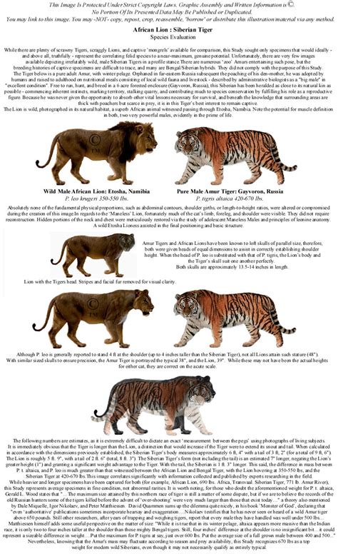 big cat | Felid Morphology's Study-Blog