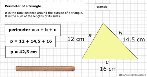 Geometric Shapes | Verb worksheets, Calculate perimeter, 5th grades