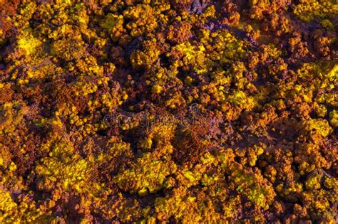 Dallol Landscape, Danakil Desert, Ethiopia Stock Image - Image of ...